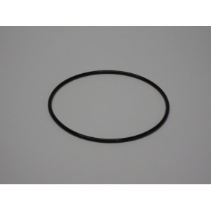 Oring 98x3